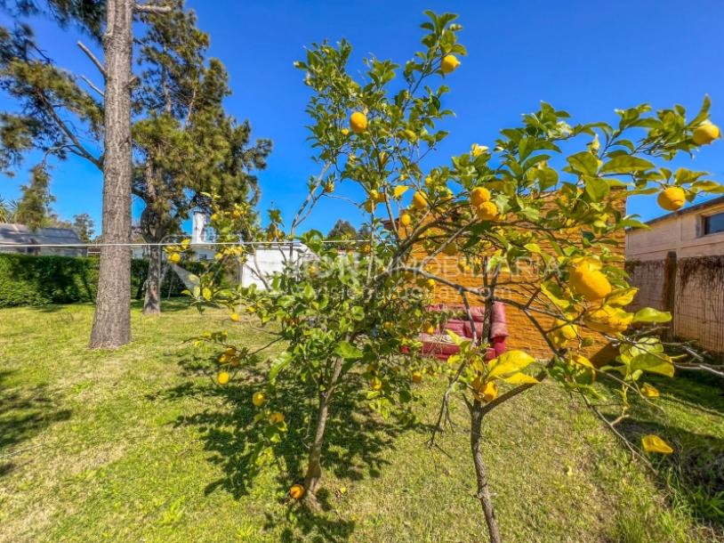 Venta conjunta de Dos Casas independientes en un gran terreno de 622 m2, una de 2 Dormitorios y 1 Baño, la otra de 1 Dormitorio y 1 Baño, Parrillero, Garaje. Barrio Español del balneario Atlántida, 8 cuadras al Norte de la Interbalnearia por Ruta 11.-65