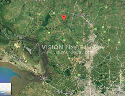 Chacra de 15 hás con el confort de hermosa casa reciclada, barbacoa y piscina climatizada.