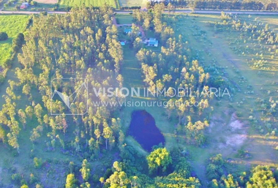 Chacra de 15 hás con el confort de hermosa casa reciclada, barbacoa y piscina climatizada.-7