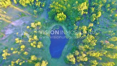 Chacra de 15 hás con el confort de hermosa casa reciclada, barbacoa y piscina climatizada.