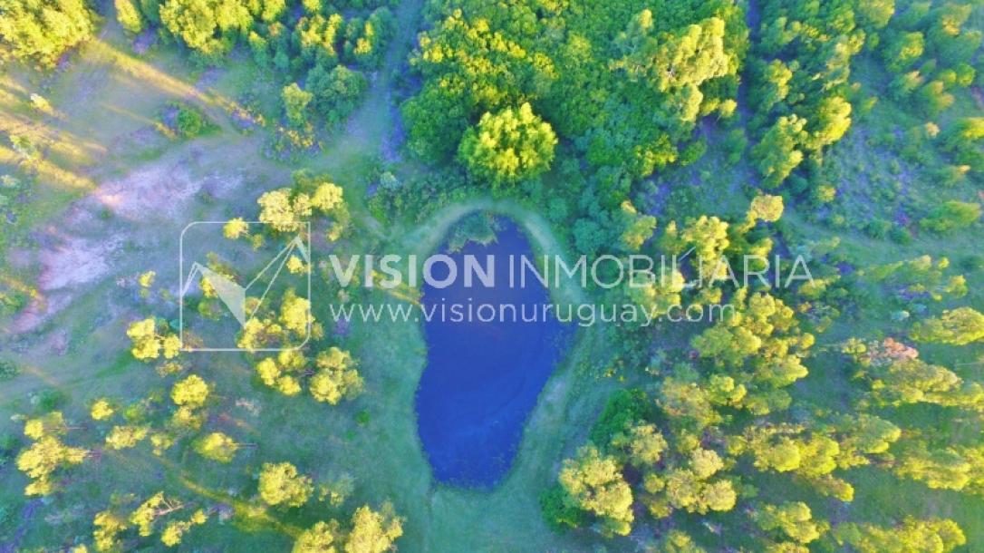 Chacra de 15 hás con el confort de hermosa casa reciclada, barbacoa y piscina climatizada.-6