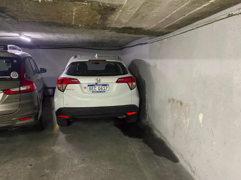 Muy buena planta en alquiler sobre calle Barreiro-16